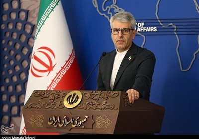 بقائی: اقتدار ملی ایران مانع اصلی ناامن‌سازی منطقه است