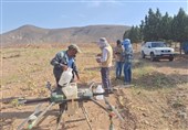 مبارزه با آفت ملخ در بیش از 2 هزار هکتار از مزارع نیشابور