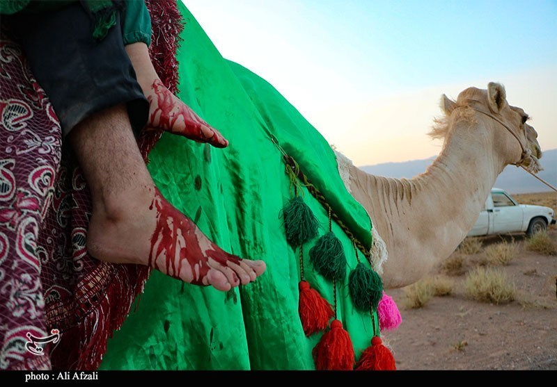 امام حسین (ع) , کربلا , عزاداری , تعزیه , پیاده روی اربعین , اربعین , استان کرمان , هیئت , 