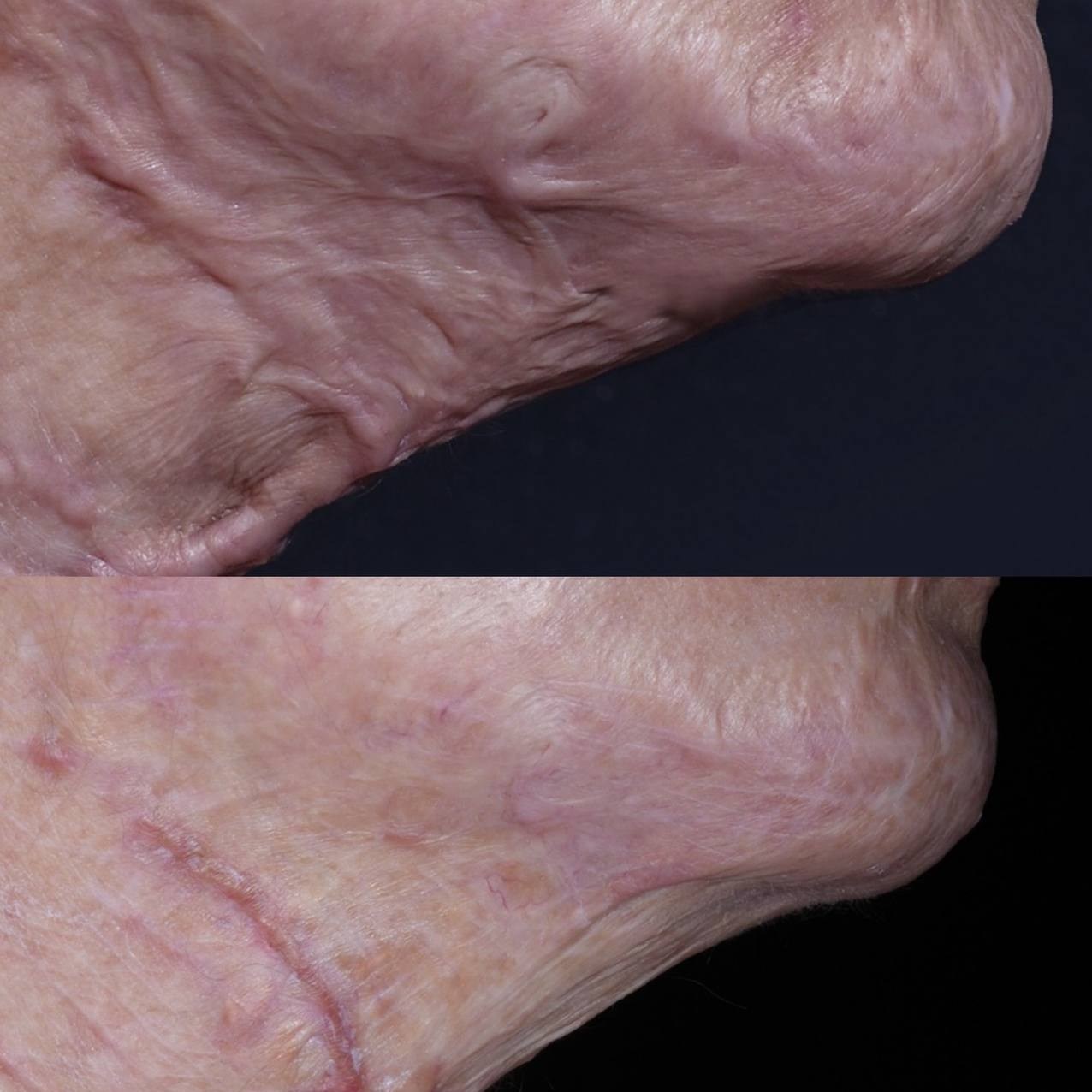 سازمان دامپزشکی کشور , 