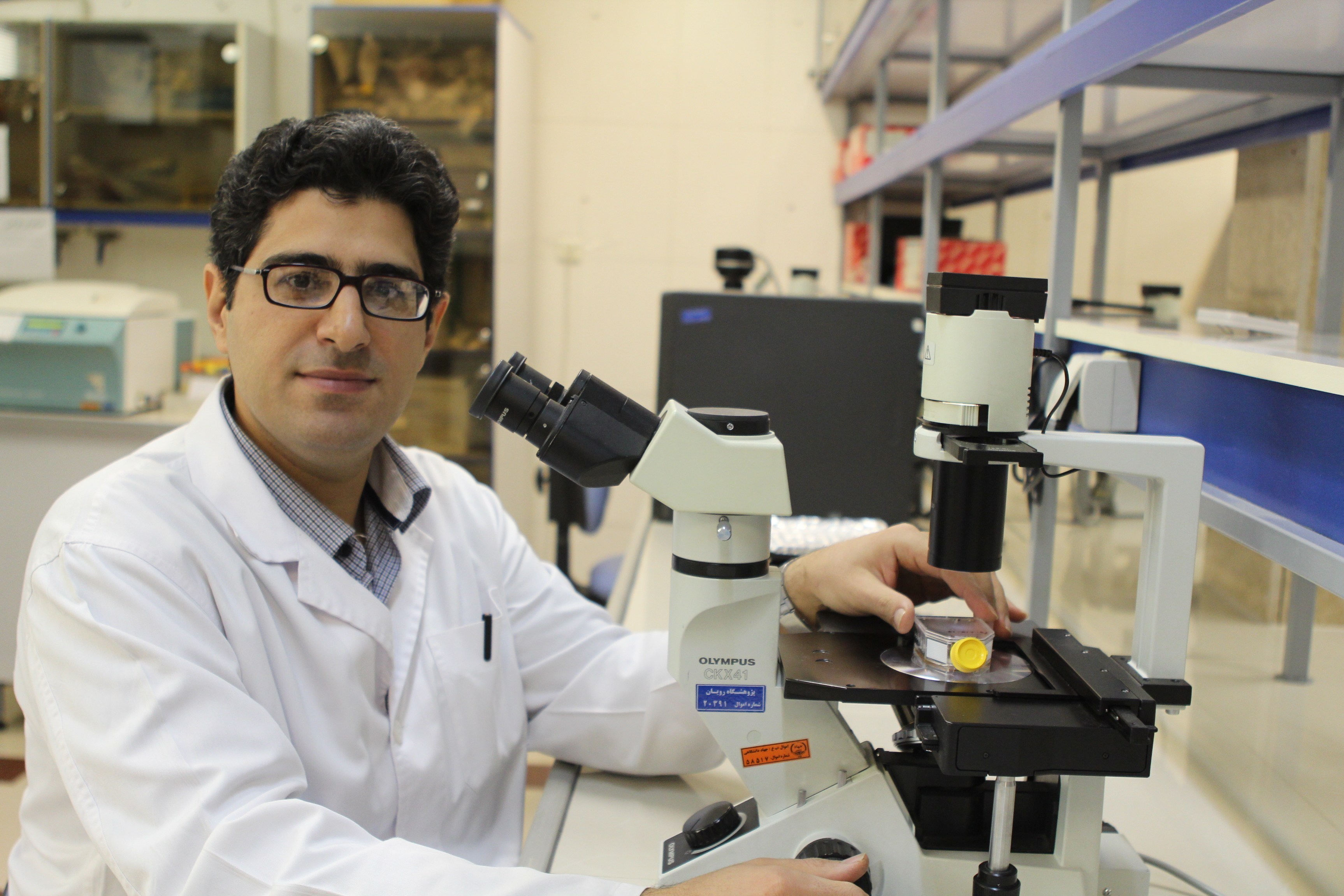 سازمان دامپزشکی کشور , 