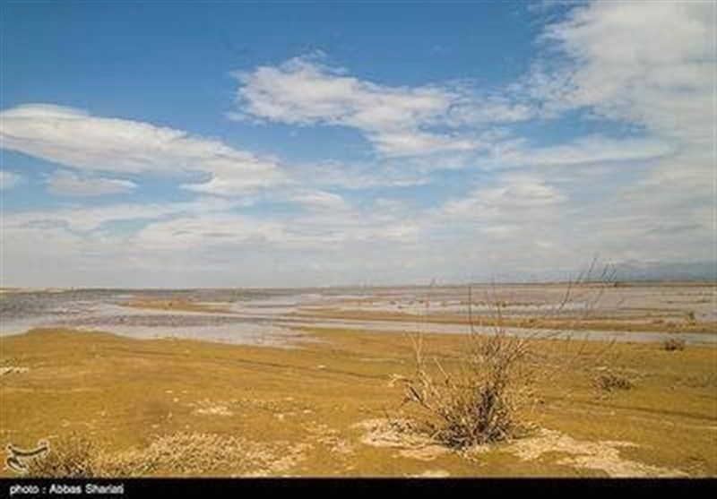 اخبار استان خراسان جنوبی , نظام مسائل استان خراسان جنوبی , کشاورزی , 