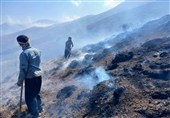 آتش‌سوزی در منطقه حفاظت‌شده مانشت و قلارنگ ایلام مهار شد