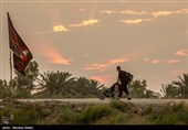 پیاده روی زائرین اربعین حسینی از طریق العلما
