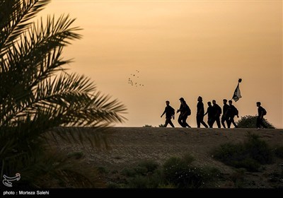 پیاده روی زائرین اربعین حسینی از طریق العلما