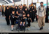 پیاده روی زائران اربعین حسینی در مسیر نجف به کربلا