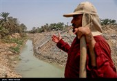 رهاسازی  آب برای آبیاری و احیای نخیلات شهرستان‌های شادگان و ماهشهر
