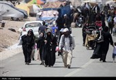 زائران تهران، قم و اصفهان با اتوبوس یکسره از خسروی تا نجف می‌روند