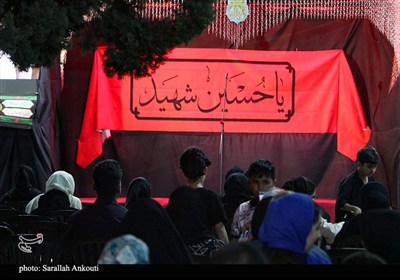 موکب «لبیک یا حسین»؛ تجلی شور خدمت در مسیر اربعین