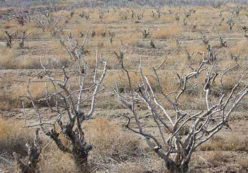 نظام مسائل استان اصفهان , 