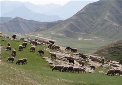 آغاز عملیات احیای بیولوژیک مراتع طارم با پایان فصل چرا و کوچ عشایر