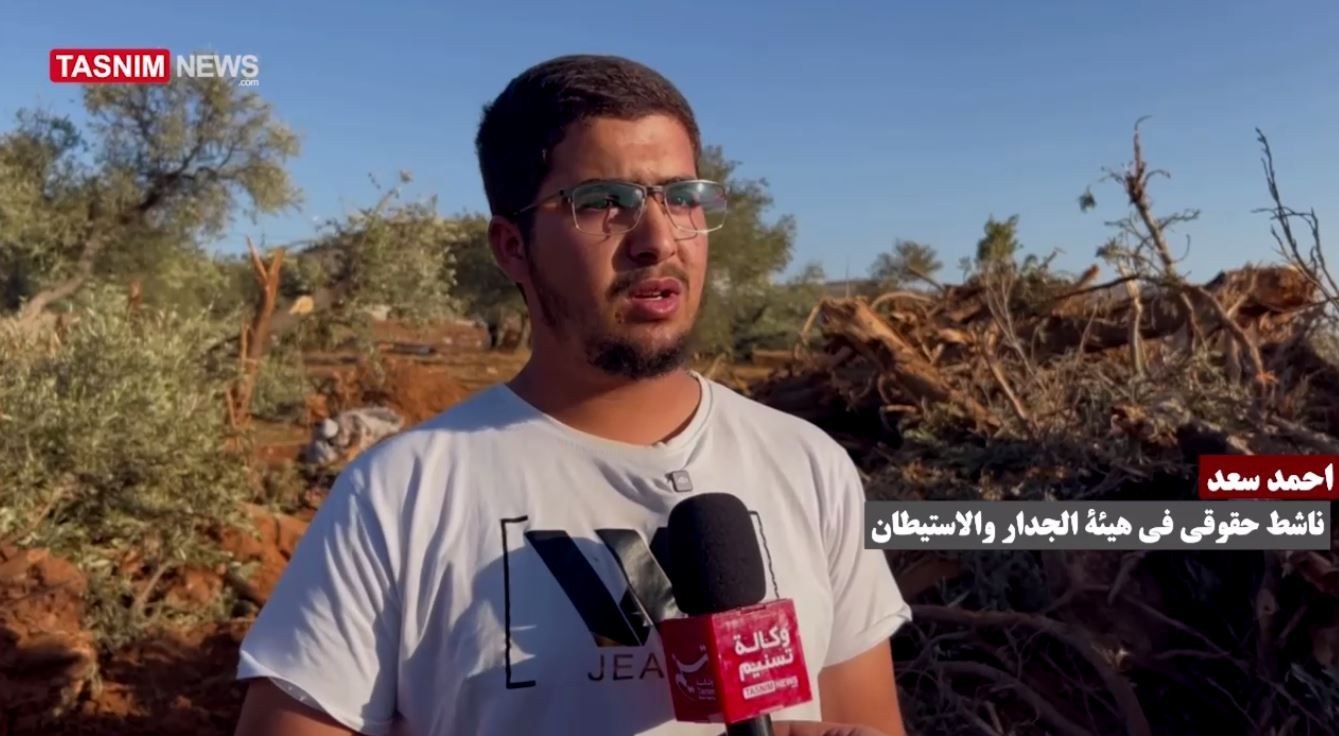 فلسطين , الكيان الصهيوني , الضفة الغربية , أشجار الزيتون ,