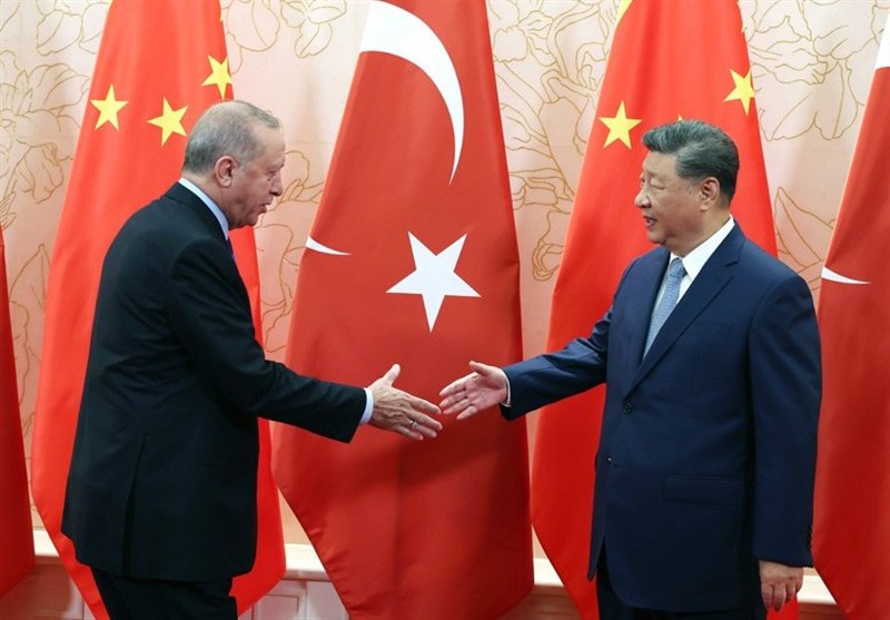 کشور ترکیه , گروه بریکس , 