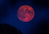 بیش از 50 برنامه عمومی رصد ماه‌گرفتگی در سراسر کشور برگزار می‌شود