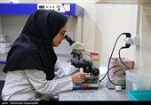 کرمانشاه کمبود جدی متخصص ندارد