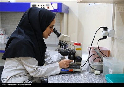 کرمانشاه کمبود جدی متخصص ندارد
