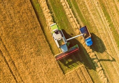 تاوان 220 هزار میلیارد تومانی منابع یارانه‌ای برای خرید تضمینی گندم