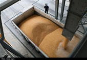 Iran Not Obliged to Buy Agricultural Inputs from US: Central Bank Chief