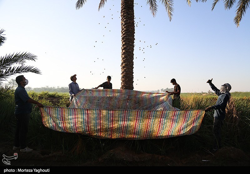 اخبار بلوچستان , 