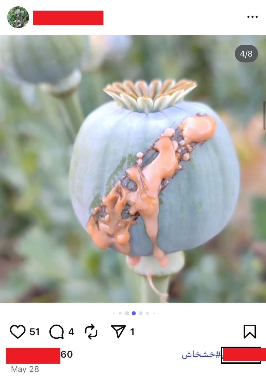 مواد مخدر , قاچاق مواد مخدر , 