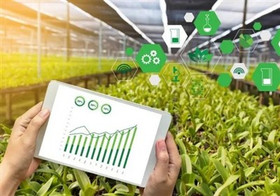 بدون تقویت منابع بانکی، توسعه کشاورزی ممکن نیست