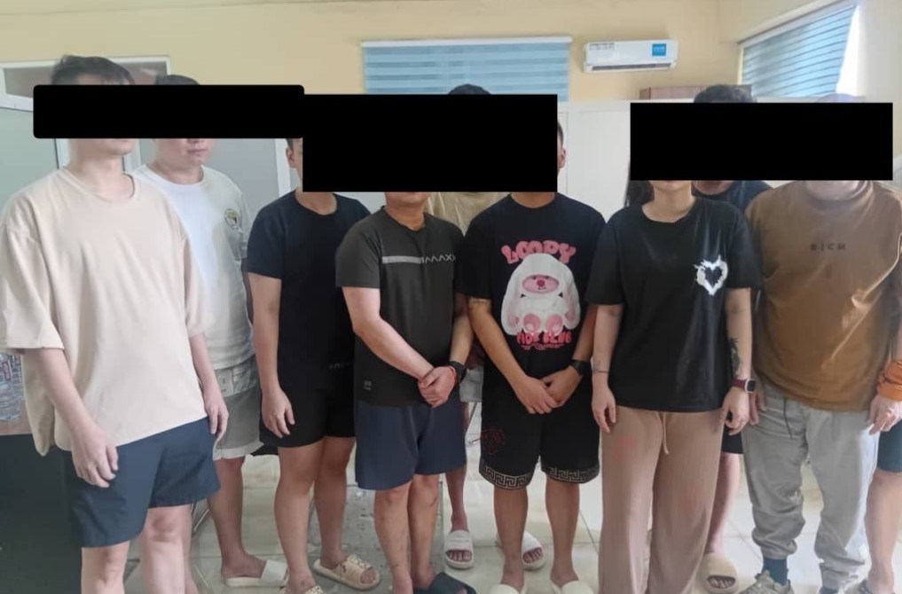 جرایم سایبری , اینترپل , 