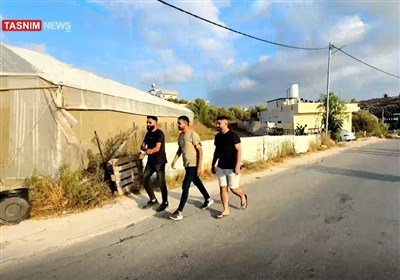 تقرير تسنيم.. مصادرة الأراضي في الضفة الغربية: مهند وأصدقاؤه وأحلام زراعية مهددة بالاستيلاء الإسرائيلي