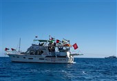 Piracy on High Seas: Israel Seizes Gaza Aid Flotilla, Detains 100