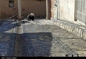 چرام در مسیر نوسازی معابر؛ موزاییک‌فرش گسترده پیاده‌روها آغاز شد+فیلم