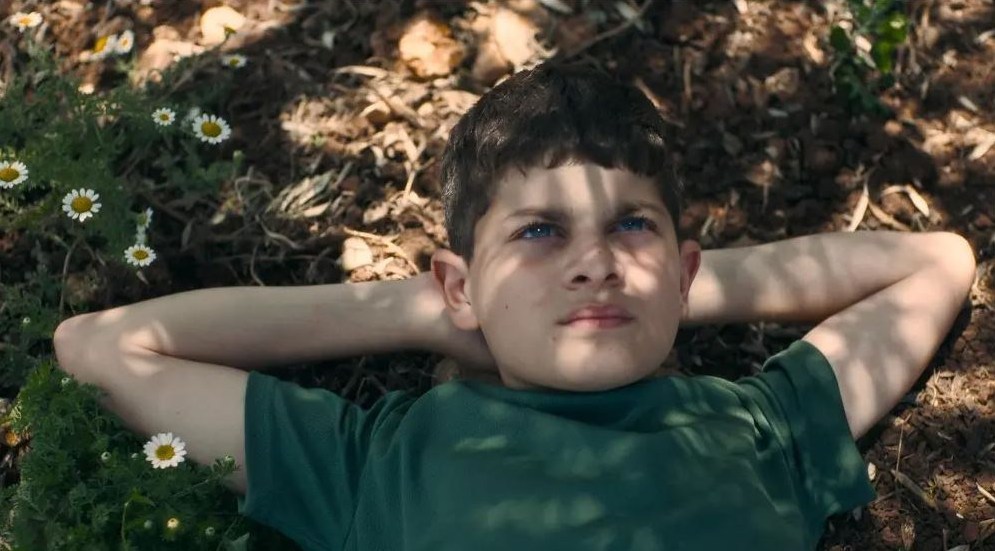 کشور فلسطین , رژیم صهیونیستی (اسرائیل) , کاروان صمود , نوار غزه , هالیوود , سینما , جایزه اسکار , فیلم , 