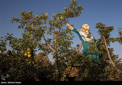 تولید برای محرومیت زدایی