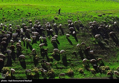 15 مهر روز ملی روستا و عشایر