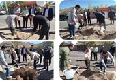 پویش کاشت نهال در روستای "پیرانج" بیرجند اجرا شد