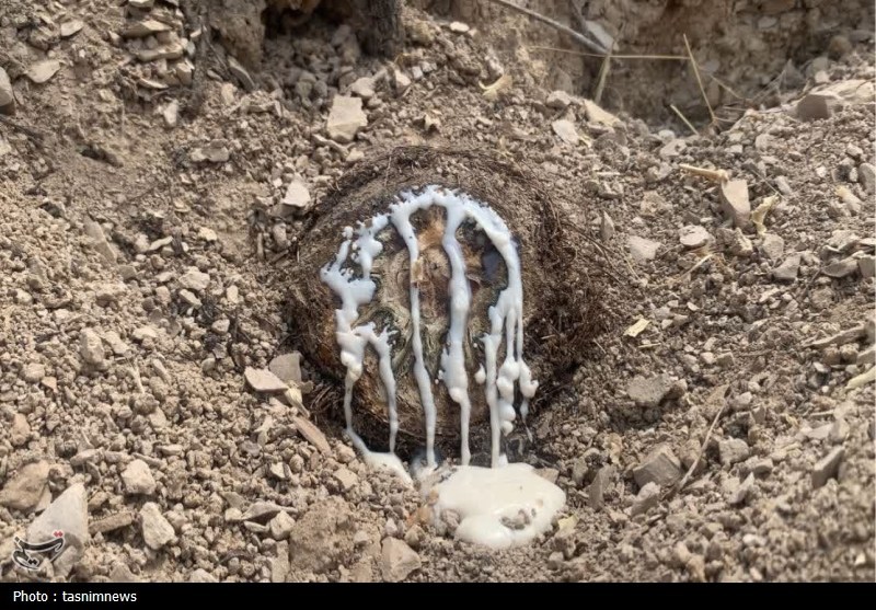 ستاد توسعه اقتصاد دانش‌بنیان گیاهان دارویی و طب سنتی , نظام مسائل استان کهگیلویه و بویراحمد , اخبار یاسوج , 