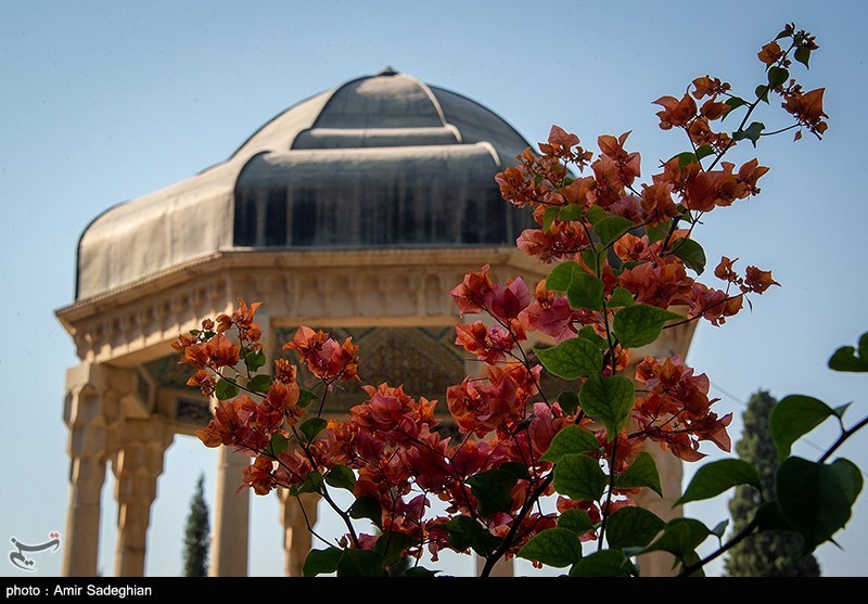 حافظ , شعر , زبان فارسی , کشور هند , 