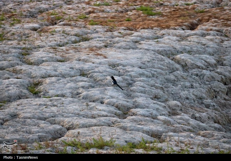 اخبار کرمانشاه , بحران های محیط زیست , نظام مسائل استان کرمانشاه , 