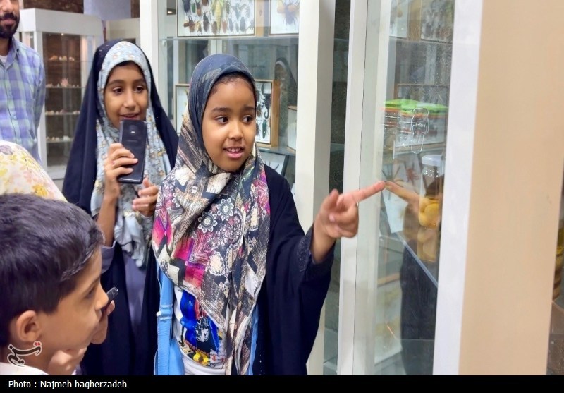 اخبار استان هرمزگان , اخبار بندرعباس , ادبیات کودک , 