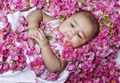 ثبت رسمی رویداد فرهنگی «گل غلتان نوزاد» در تقویم رویداد‌های گردشگری