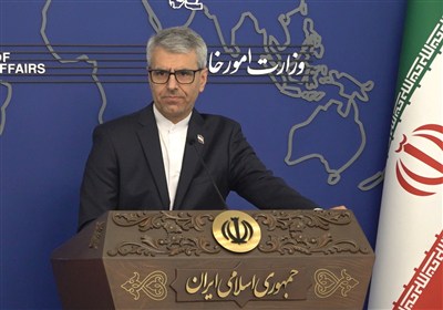 بقائی: رژیم صهیونیستی به دنبال تجزیه کشورهای اسلامی است