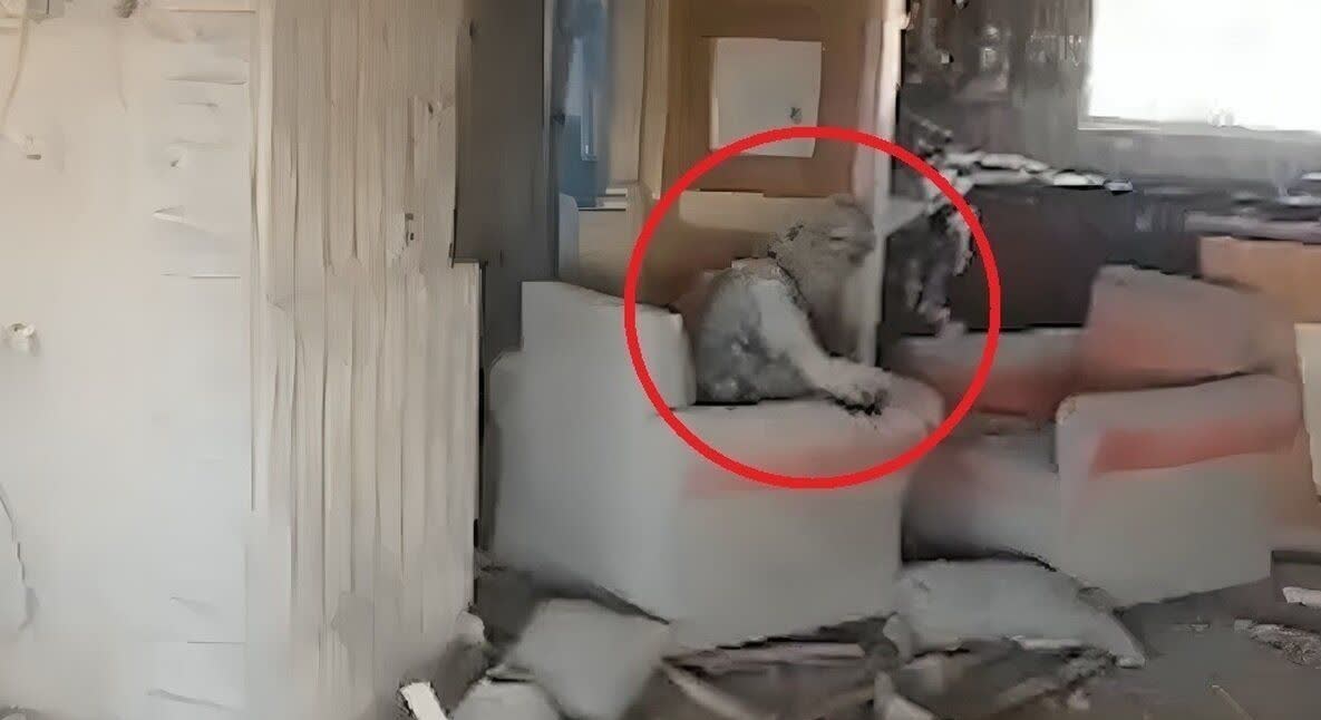 یحیی سنوار , عملیات طوفان الاقصی , نوار غزه , 