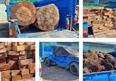 برخورد قاطع دادستانی آمل با قاچاقچیان چوب‌آلات جنگلی