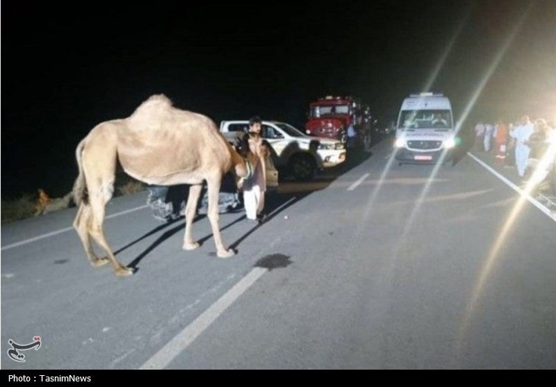 اخبار بندرعباس , اخبار جاسک , اخبار میناب , تصادف , 