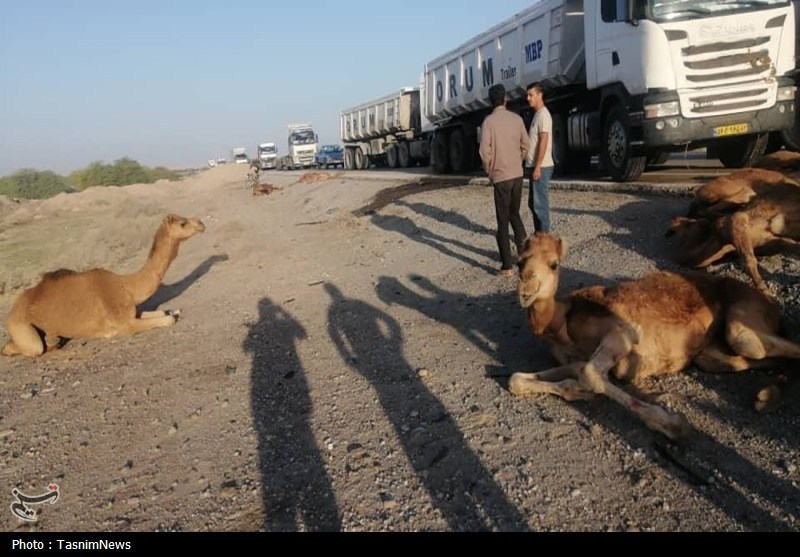 اخبار بندرعباس , اخبار جاسک , اخبار میناب , تصادف , 