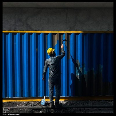 رنگ زندگی در میان سایه ها