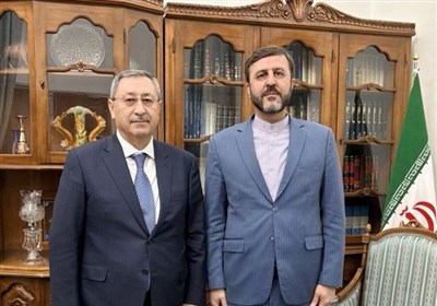 تفاصيل لقاء غريب‌ آبادي بمساعد الرئيس الأذربيجاني