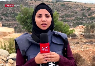 تقرير/ تسنيم.. إسرائيل تجعل من موسم الزيتون حقلاً لاستهداف الفلسطينيين