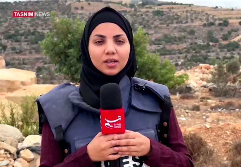 تقرير/ تسنيم.. إسرائيل تجعل من موسم الزيتون حقلاً لاستهداف الفلسطينيين