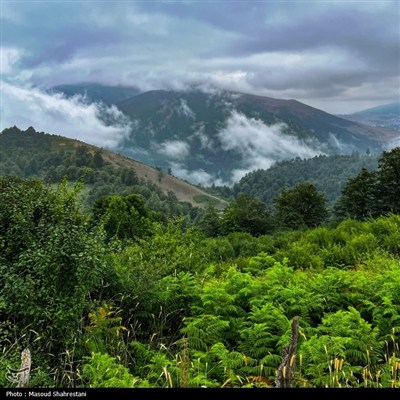 طبیعت مازندران