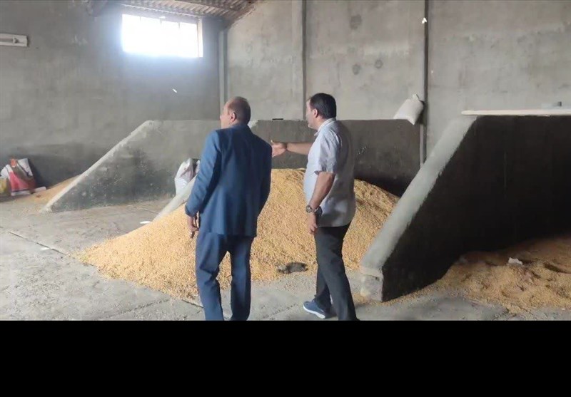 جهاد سازندگی , گروه‌های جهادی , اخبار سمنان , اخبار دامغان , 