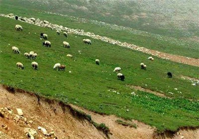 آیین بزرگداشت روز ملی مرتع و مرتع داری در استان سمنان